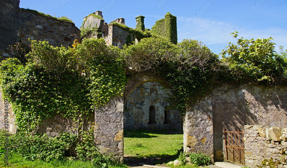 Fototapeta premium Clifden Castle 2018 4