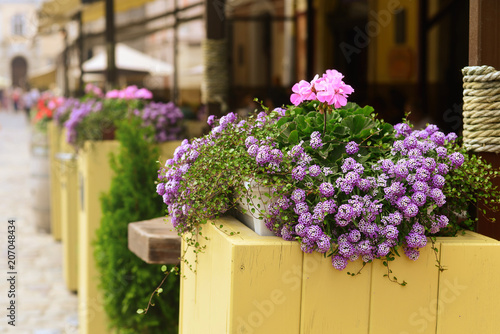 Restaurant in the afternoon decorated with purple flowers in the old town.