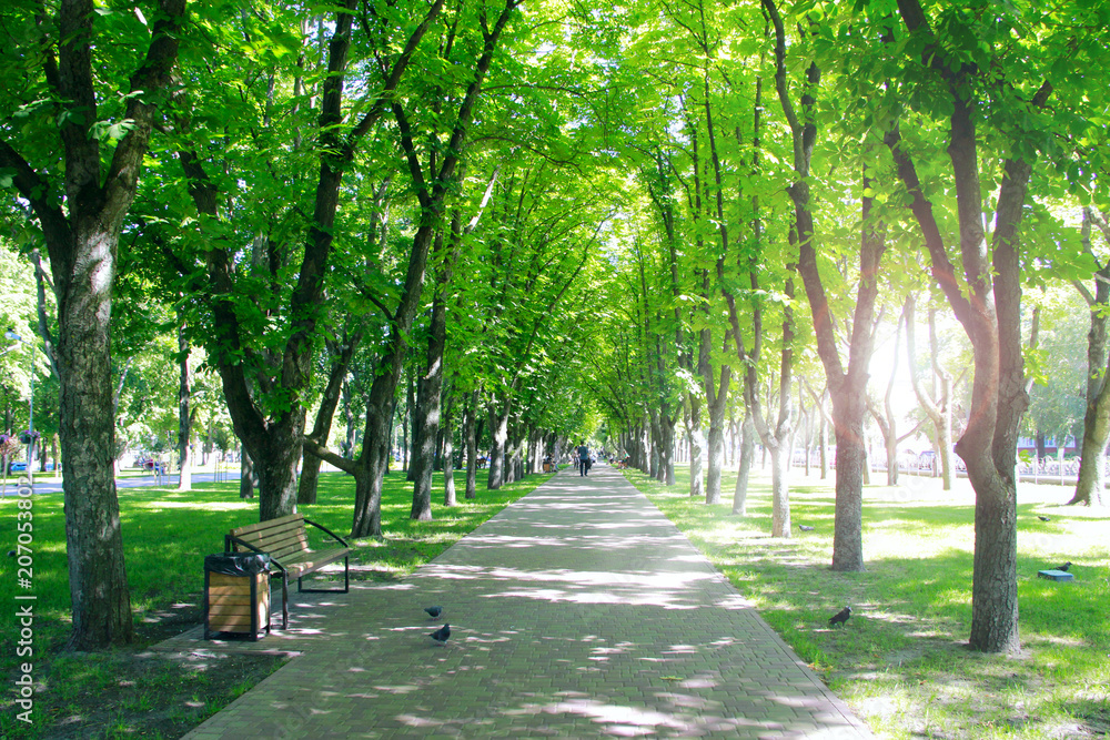 City park with promenade path benches and green trees. People have a rest City park with promenade path benches and green trees. People have a rest