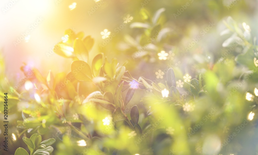 Obraz premium Spring.