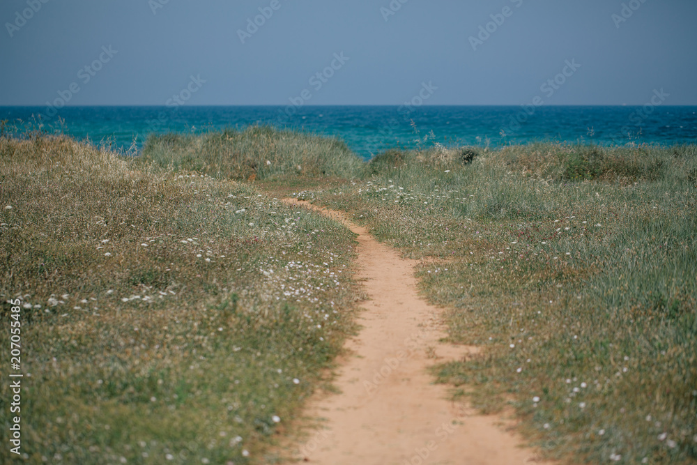 Road to the adriatic sea Italia coast apulia