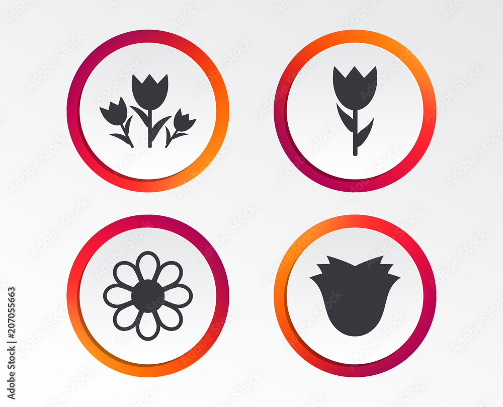 Flowers icons. Bouquet of roses symbol. Flower with petals and leaves. Infographic design buttons. Circle templates. Vector