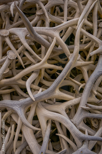 Close up of selective focus of antler structure in Jackson Hole town