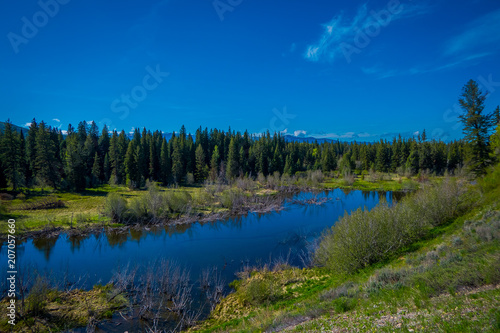 Outdoor view of natural pond of small river at gorgeous nature landscape, with pine trees in the Grand Teton National Park, Wyoming during gorgeous sunny day at summer