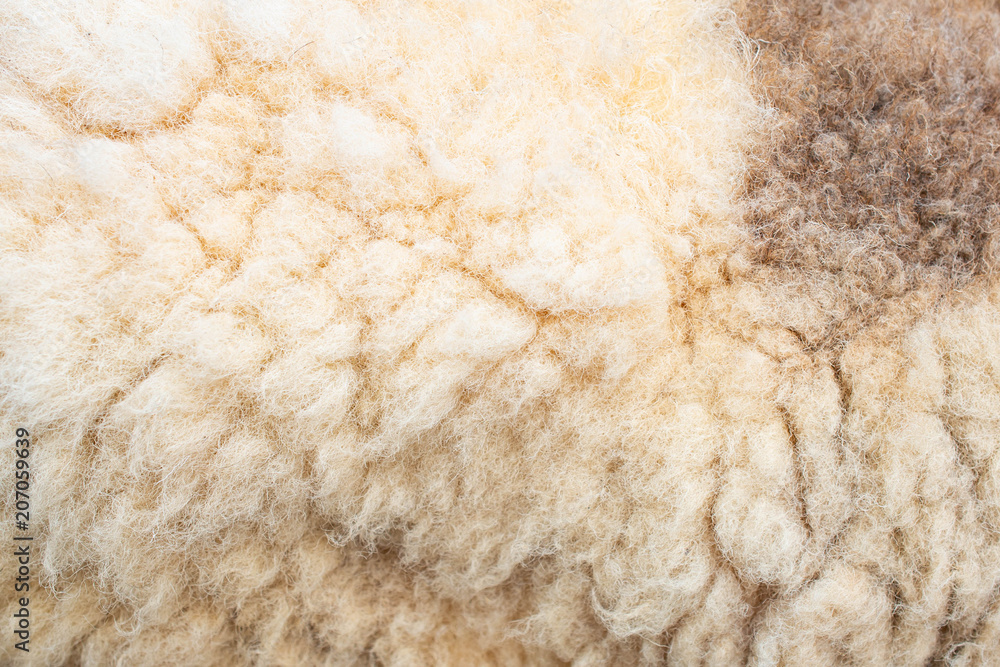 Fleece or sheep, wool sheep for background. Fleece or sheep, wool sheep for background.