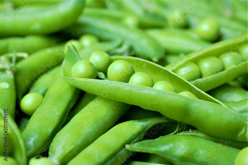 Green peas or peas (Latin Písum) cerebral. Ingredient for cooking, raw food and feed. Close-up.