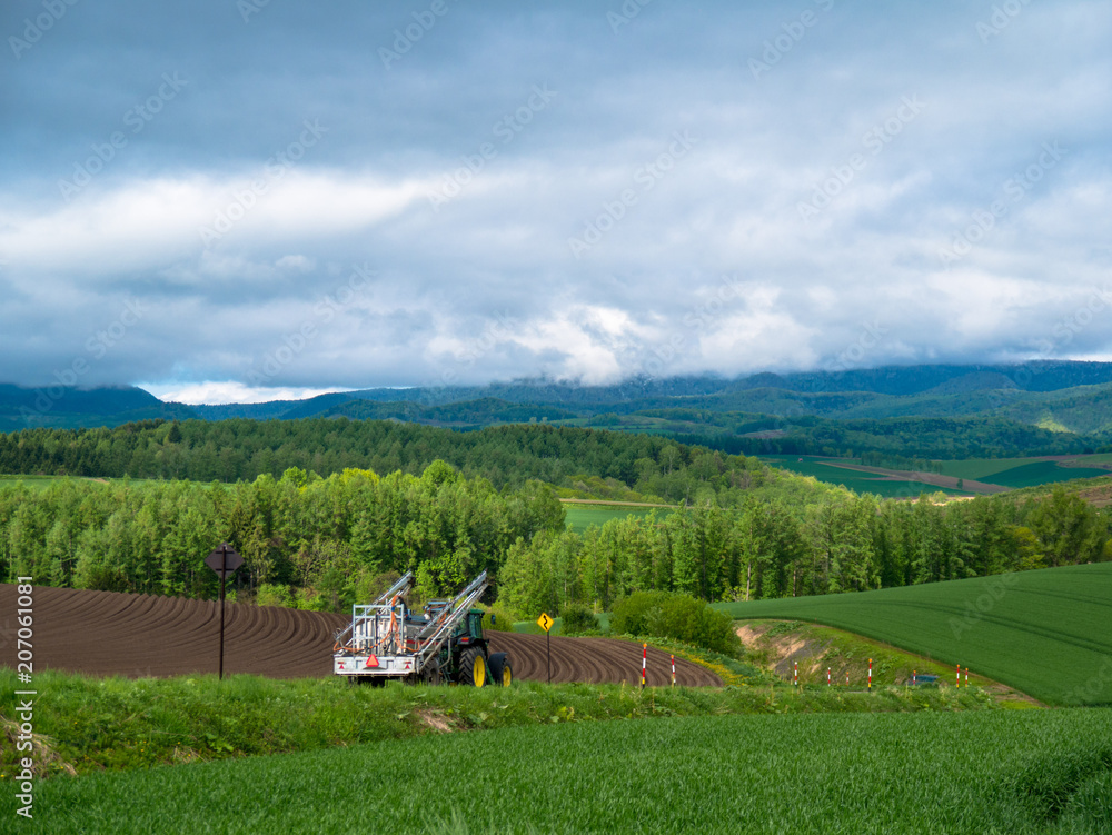 Naklejka premium 北海道の風景