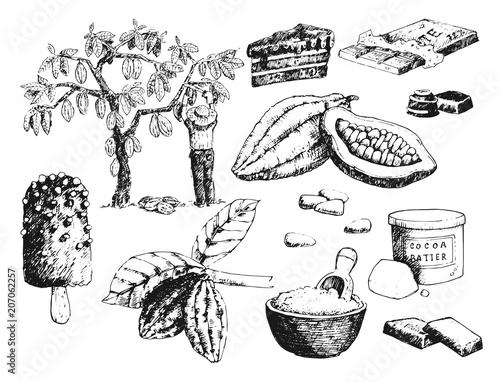 Vector cocoa products hand drawn sketch doodle food chocolate sweet illustration.