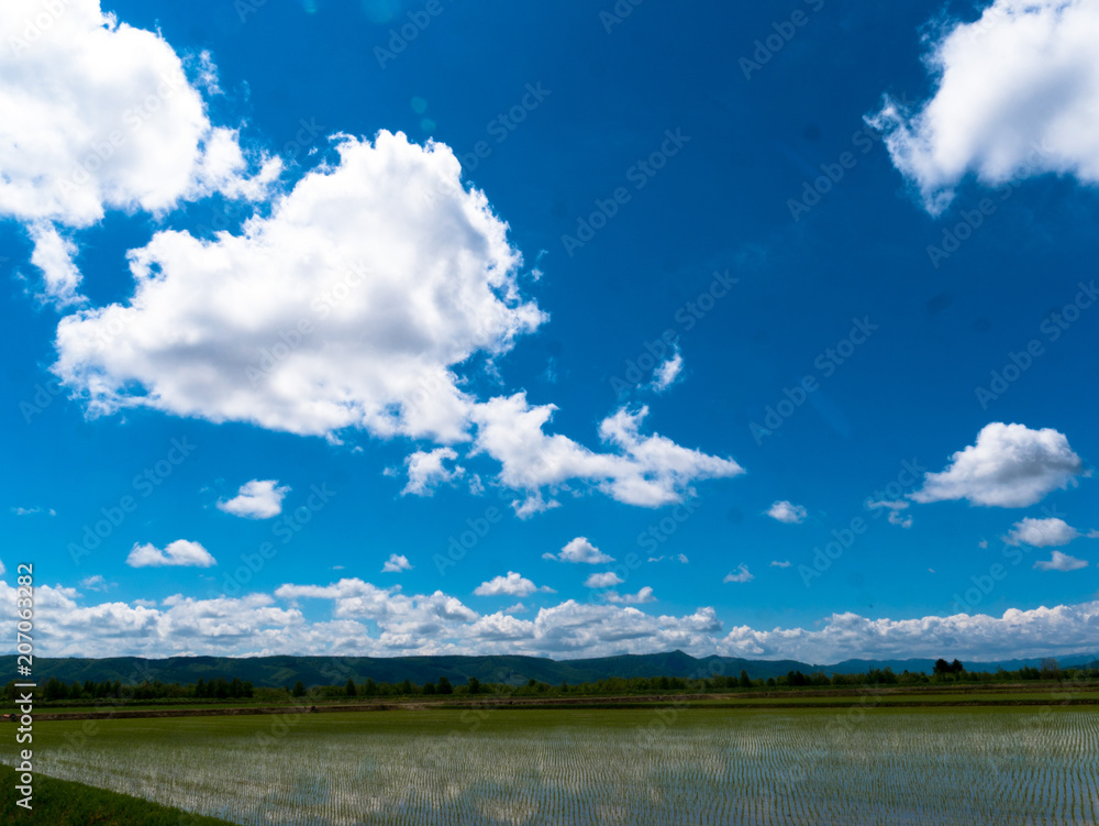 北海道の風景 北海道の風景