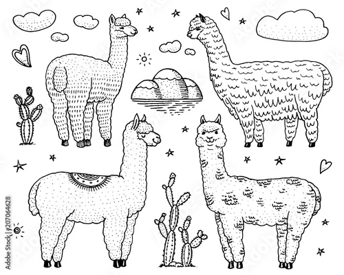 Set of cute Alpaca Llamas or wild guanaco on the background of Cactus and mountain. Funny smiling animals in Peru for cards, posters, invitations, t-shirts. Hand drawn Elements. Engraved sketch.