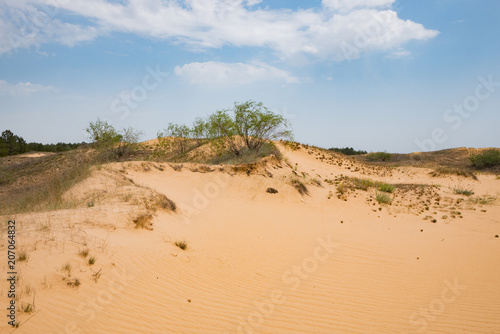 landscape in oleshky sands, desert in Ukraine