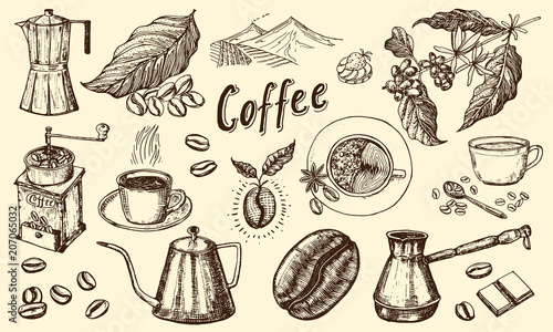 Traditional Filter Coffee Maker. Modern vintage elements, percolator, plants, grain and kettle for the shop menu. Vector illustration. engraved hand drawn in old sketch for card, badges, labels.