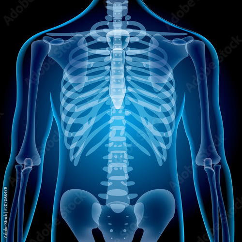 Realistic x-ray shots.Images use grid gradients and layer blending effects.