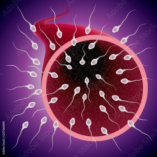 Fertilization process design, sperm and ovum combination, many sperm scramble ovum.