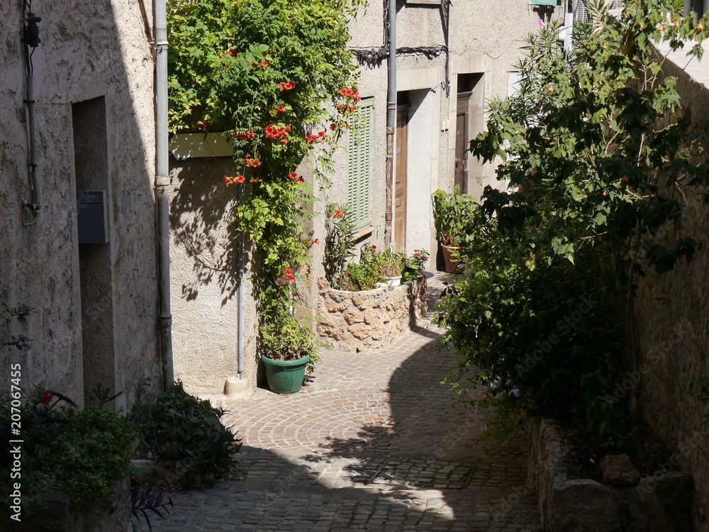 narrow alley in semi-shade, southern France,Pot and tub plants, typical sandstone for houses, coarse cobblestones, pipes for installations on the walls,