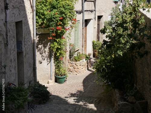 narrow alley in semi-shade  southern France Pot and tub plants  typical sandstone for houses  coarse cobblestones  pipes for installations on the walls 