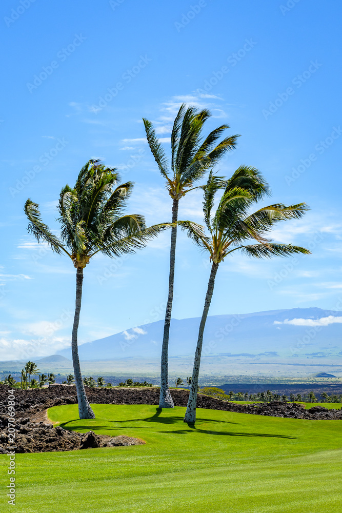 Sunny day on a tropical golf course fairway with the putting green in the distance surrounded by palm trees and sand traps, lava rock, blue pacific ocean, and blue sky and white clouds in background