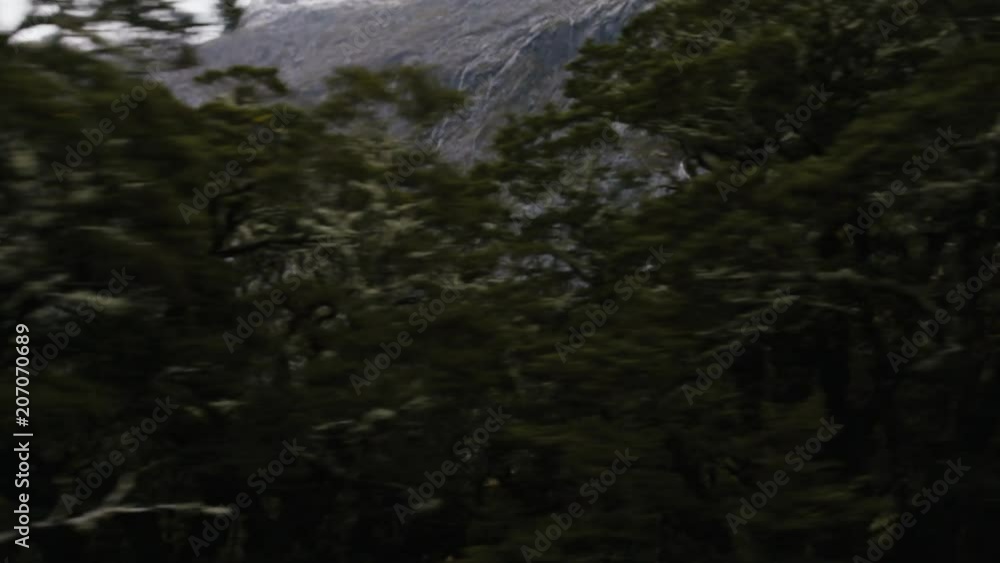 Driving up alpine mountains with snow and mist with trees in foreground Driving up alpine mountains with snow and mist with trees in foreground