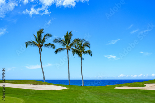 Sunny day on a tropical golf course fairway with palm trees, sand traps, blue pacific ocean, and blue sky and white clouds in the background 