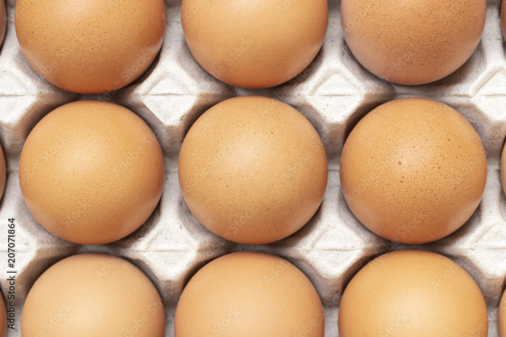 close uo of chicken eggs in paper tray close uo of chicken eggs in paper tray
