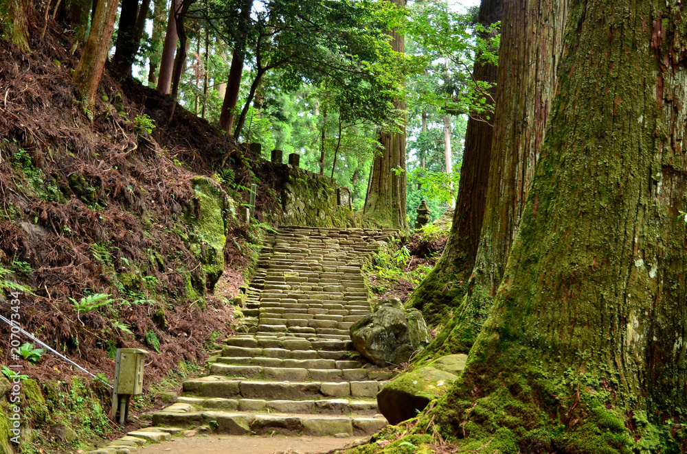 Obraz premium Stone pavement to Okuno-in Temple of Muro-ji Temple