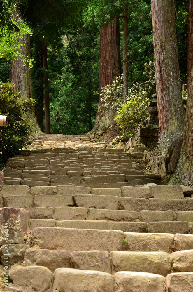 Stone pavement to Okuno-in Temple of Muro-ji Temple