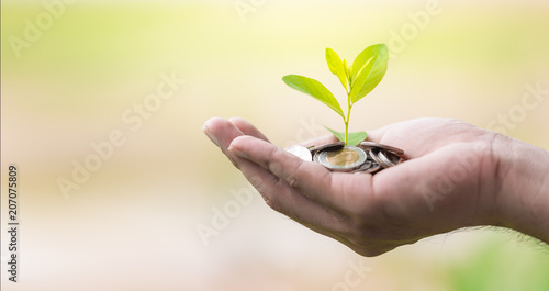A coins with tree in people hands in saving and growing money concept