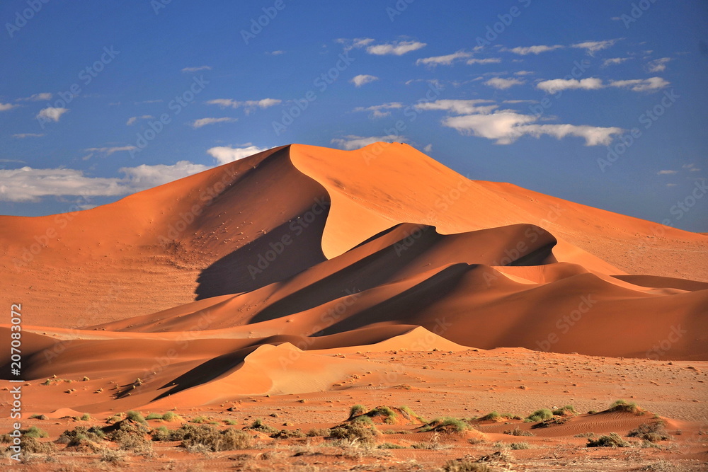 Namibia. Red dunes in the Namib Desert - obrazy, fototapety, plakaty 