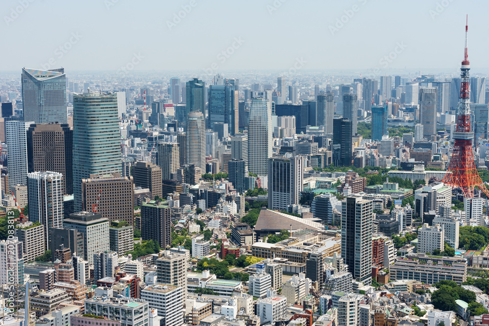 スカイデッキ　風景