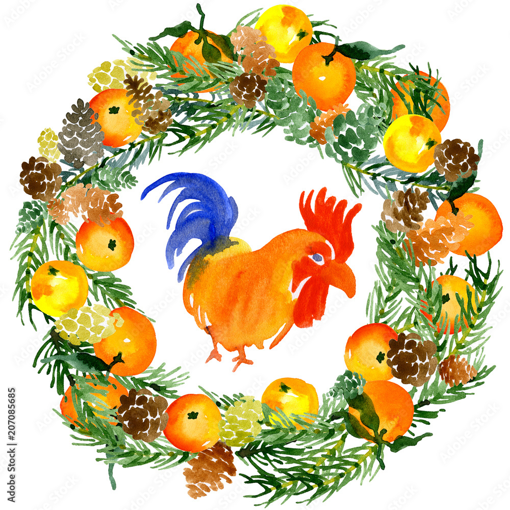 Obraz premium Christmas, festive, family, coniferous, fruit wreath. Colorful, brave, rustic cock. Domestic bird. Delicious, juicy, ripe, citrus fruit tangerines. Watercolor. Illustration