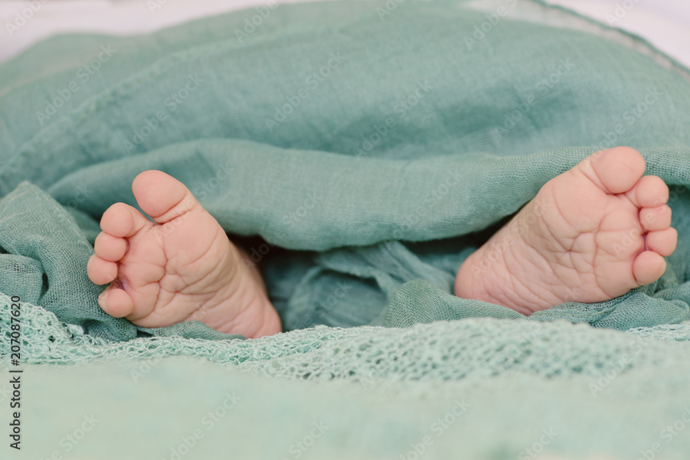 newborn baby feet newborn baby feet