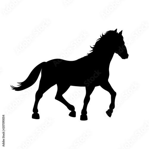 Black silhouette of galloping horse on white background. Wild mustang icon. Detailed isolated image. Vector illustration
