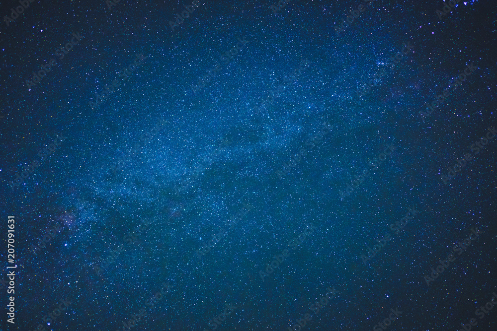 Naklejka Blue dark night sky with many stars above field of trees.