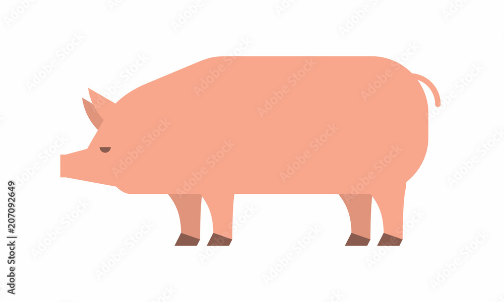 Pig icon. flat style. isolated on white background Pig icon. flat style. isolated on white background