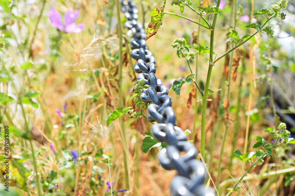 Horizontal big silver chain link in the spring field Horizontal big silver chain link in the spring field