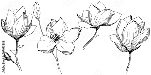 Magnolia in a vector style isolated. Full name of the plant: magnolia. Vector olive tree for background, texture, wrapper pattern, frame or border.