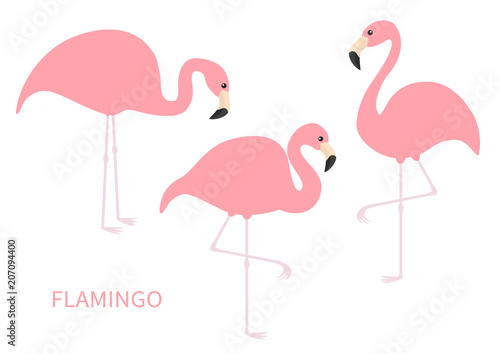 Pink flamingo icon set. Three exotic tropical bird. Zoo animal collection. Cute cartoon character. One leg. Looking on the ground. Decoration element. Flat design. Isolated. White background