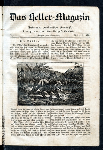 Fototapeta Naklejka Na Ścianę i Meble -  The tiger grabs the boy (from Das Heller-Magazin, March 1, 1834)