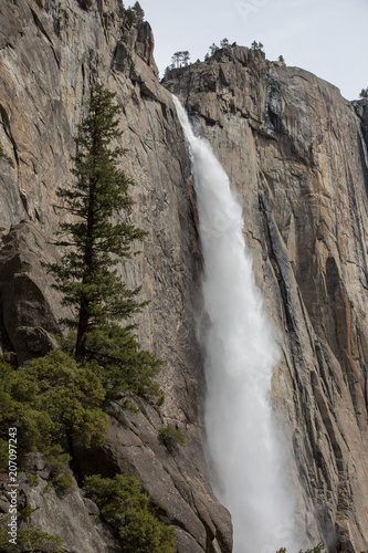 Yosemite Falls © Nathan Matsushima