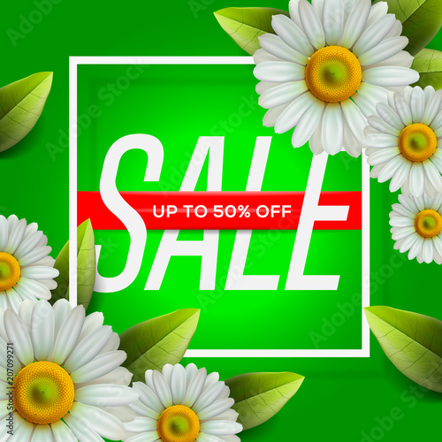 Summer Sale lettering and bouquet realistic daisy, camomile flowers on green background, online shopping, store, advertising poster, vector illustration.