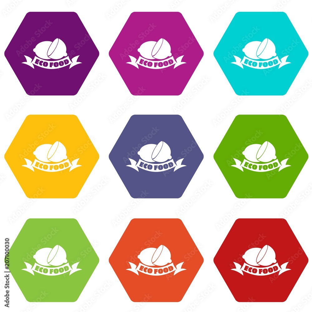 Eco food icons 9 set coloful isolated on white for web Eco food icons 9 set coloful isolated on white for web