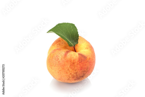 Apricot