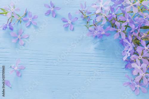 Wallpaper Mural Periwinkle flowers on a wooden background