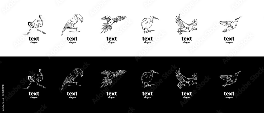 Hand-drawn pencil graphics, birds set Hand-drawn pencil graphics, birds set