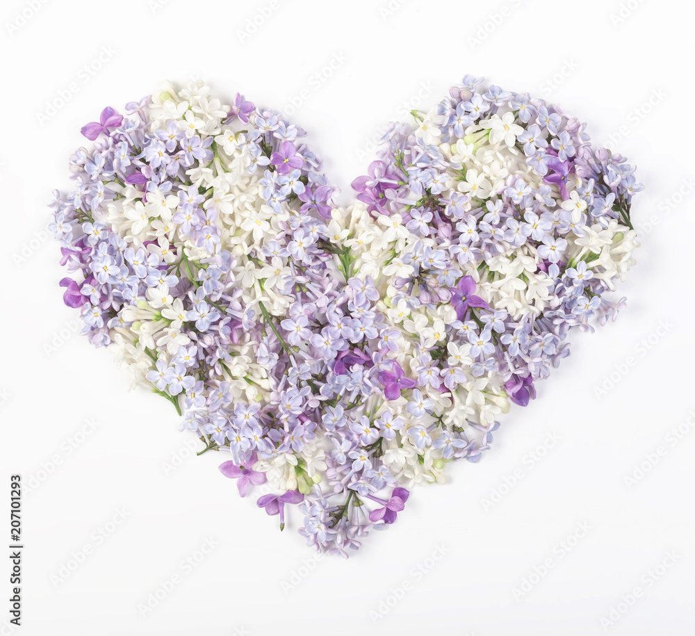 Heart symbol made of spring lilac flowers isolated on white background. Flat lay. Top view.