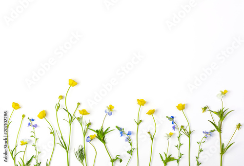 Meadow flowers with field buttercups and pansies isolated on white background. Top view with copy space. Flat lay.