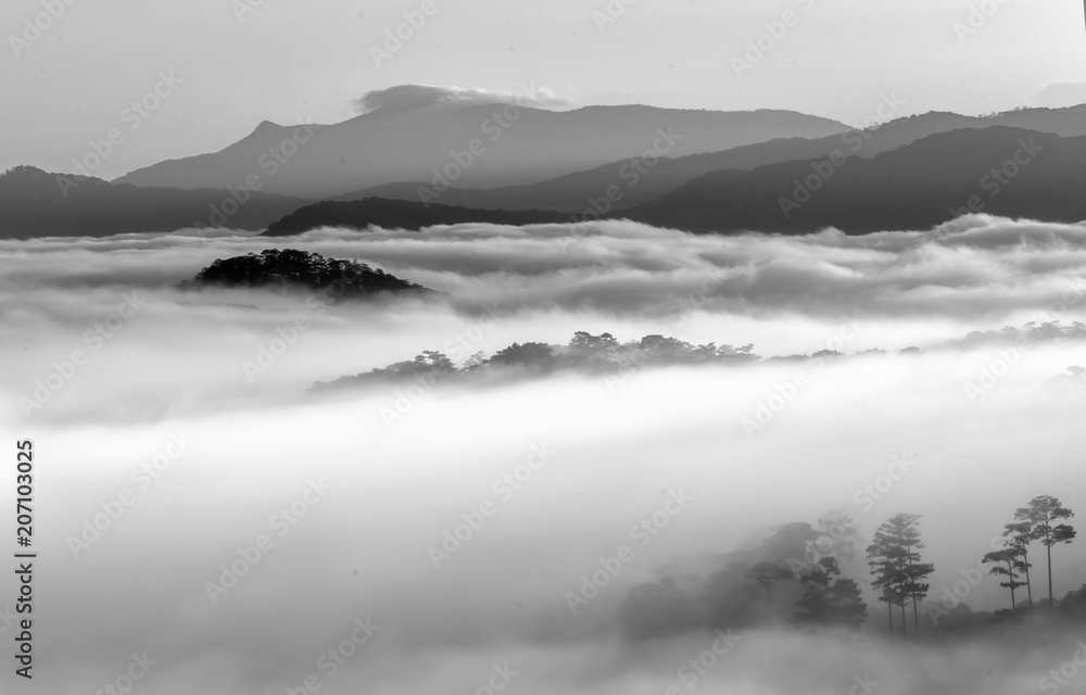 Dawn on the plateau pine forests covered with fog shrouded so beautiful idyllic countryside Dalat plateau, Vietnam