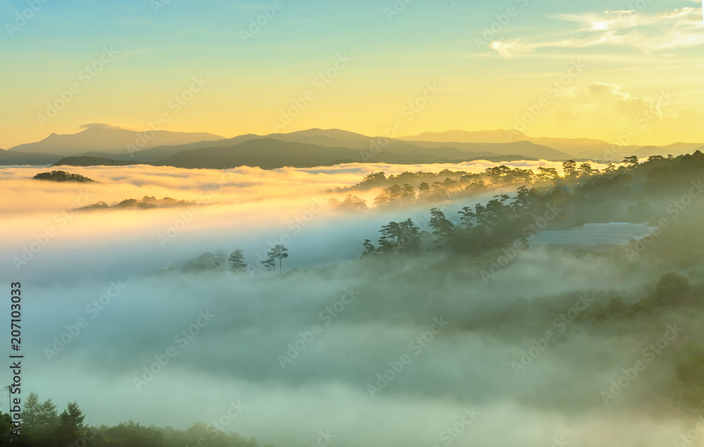 Dawn on the plateau pine forests covered with fog shrouded so beautiful idyllic countryside Dalat plateau, Vietnam Dawn on the plateau pine forests covered with fog shrouded so beautiful idyllic countryside Dalat plateau, Vietnam