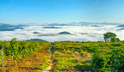 Landscape under morning fog covered the valley like clouds floating in wonderful idyllic highlands of Dalat, Vietnam