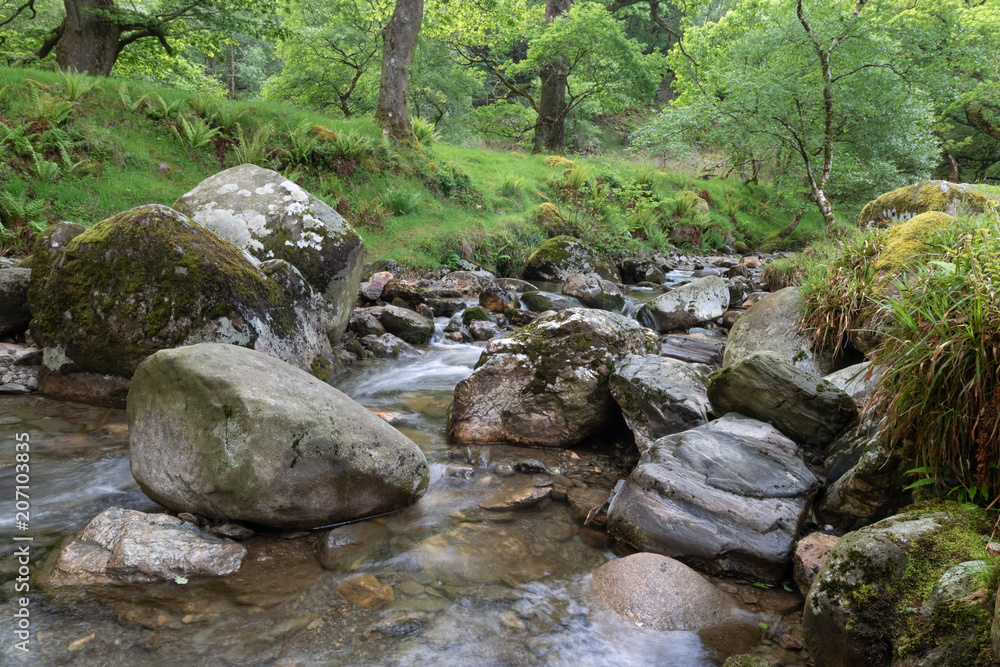 Flowing waterstream in the forest, waterfall, wet stones, green moss, vivid green scenery, enchanted forest